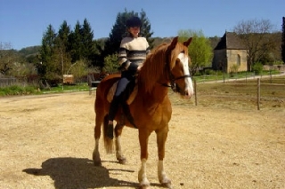 与韦泽尔骑手一起骑马 